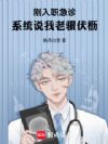 ����ְ���ϵͳ˵����������